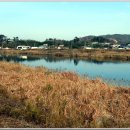 회야강변 이미지