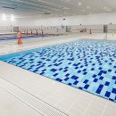 아레나 수영장 이미지