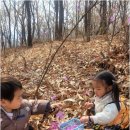 온새미어린이집 이미지