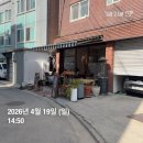 뚝섬 | 애견동반 카페 치트키룸 버터 크림 라떼 후기