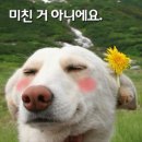 참 이미지