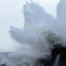 대정읍-4 이미지