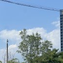 동물보육원 화성 향남지부 | [일상] 새로운 가족이 생겼어요 ෆ˙ᵕ˙ෆ (보호소 입양후기)