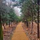 라온혜윰힐링센터 이미지