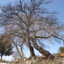 만경읍사무소 이미지