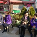 쉼터포장마차 이미지