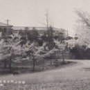 공설운동장 동편 이미지