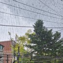 방배2동110 이미지