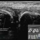 가다정한의원 이미지