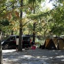 반디캠프 이미지