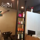 엘리스헤어?? 이미지