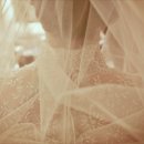 오즈코리아 이미지