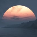 블루향기 이미지