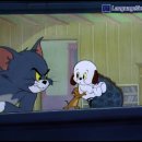 꼬마강아지 이미지