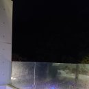 항사리91 이미지