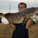 금이 낚시터 이미지