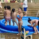 바바나무 이미지