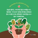 길트프리