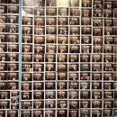 M_Review. 강남방탈출 '세븐클루스 강남 2호점' 죽음의 GP507 테마 3인 탈출 후기!