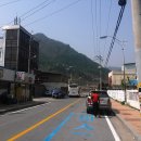 정선산나물 - 정선군 고한7길 5-37 | 정선산나물