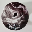 우먼필산부인과의원 이미지