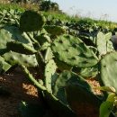 명종농장 이미지