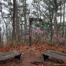 가제산 정상 이미지