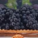 입장초등학교 이미지