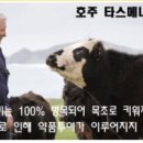 와우미트