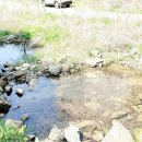 휴양림하우스 이미지