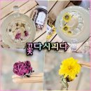 꽃;다시피다 이미지