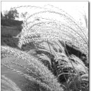 이목사거리 이미지