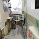 골목길가든 이미지