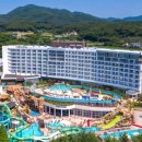 스플라스리솜 이미지