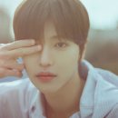 더Florist
