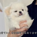 새벽