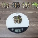 한절농장 이미지