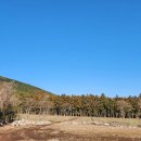 성불주차장 이미지