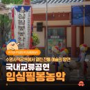 임실필봉농악 | [좌수영어방놀이 국내교류공연 - 임실필봉농악] 수영사적공원에서 펼쳐진 전통 예술의 향연