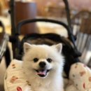 도봉-도봉-서울도봉-2329 | 서울 - 소금빵은 물론! 핸드드립커피와 아늑한 공간까지 완벽한 [유영정원] 도봉점