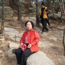 고경초등학교 이미지