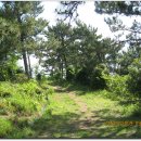 돌산공원길 이미지