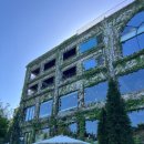 양수가든 - 고양시 일산동구 숲속마을로 50-42 | 남양주 드라이브 코스 추천, 북한강 뷰 카페 대너리스 후기