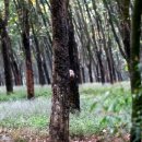 수당농장 이미지