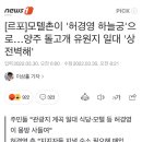 [르포]모텔촌이 &#39;허경영 하늘궁&#39;으로…양주 돌고개 유원지 일대 &#39;상전벽해&#39; 이미지