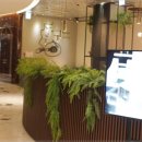 월드타워 이미지