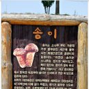 송이용소 이미지