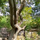 금성산성 이미지