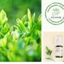 다은메디칼 이미지