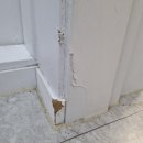 금천아트빌 | 뜯기고 까진 걸레받이와 문틀 보수 복원 작업